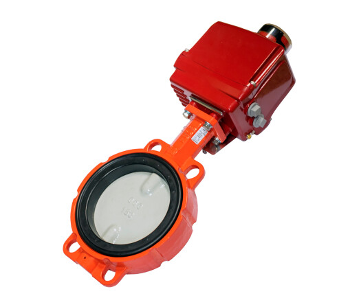 BVE-100