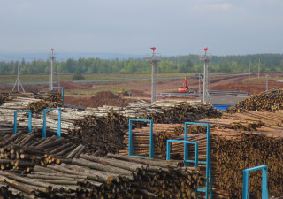 Open storage of timber located in Russia, the Republic of Tatarstan, Yelabuga 