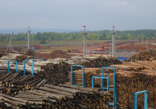 Open storage of timber located in Russia, the Republic of Tatarstan, Yelabuga